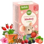 APOTHEKE BIO HERBATKA DLA DZIECI BEZ CUKRU DZIKA RÓŻA Z TRUSKAWKĄ MALINA 9m