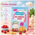 Babylove Bio Ciasteczka Malinowe Dla Dzieci Od 1 Roku Życia 125g Z Niemiec