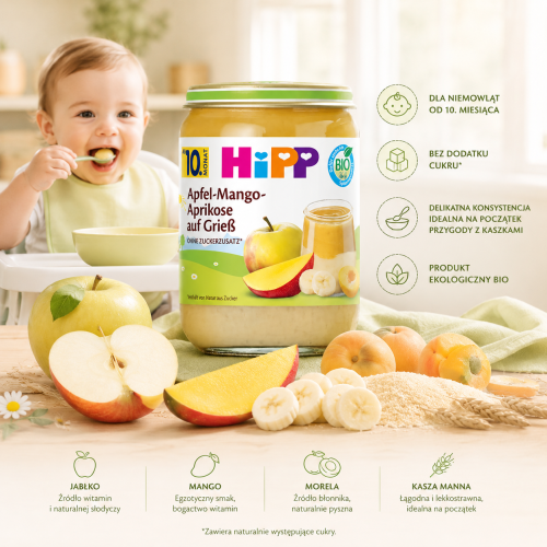 Hipp Bio Deser Warstwowy Kaszka Z Jabłkiem Mango I Morelkami 10m