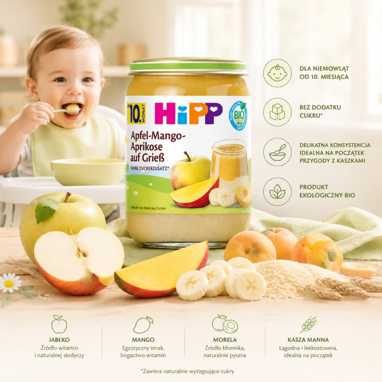 Hipp Bio Deser Warstwowy Kaszka Z Jabłkiem Mango I Morelkami 10m