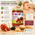 Hipp Bio Deser Warstwowy Kaszka Z Jabłkiem Truskawką I Czarną Porzeczką 10m