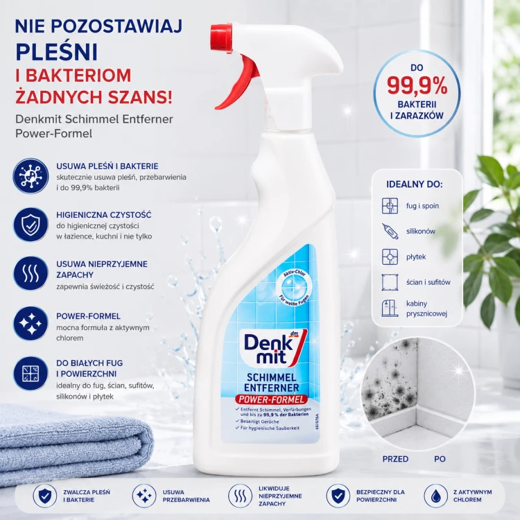 Denkmit Spray Do Usuwania Pleśni Grzyby Bakterie Aktywny Chlor 750ml